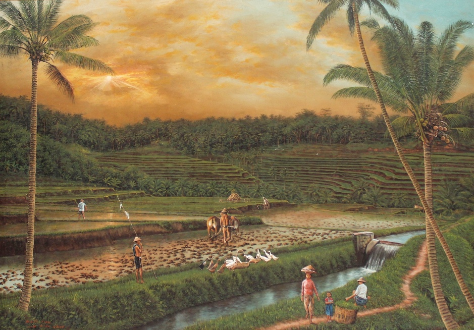 View of Rice Fields at Dusk